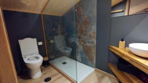 a bathroom with a toilet and a shower and a sink at Quinta de Linhares in Oliveira +14 photos