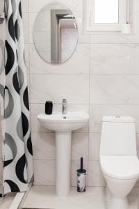 a bathroom with a sink and a toilet and a mirror at Котедж у Русина in Pilipets +56 photos