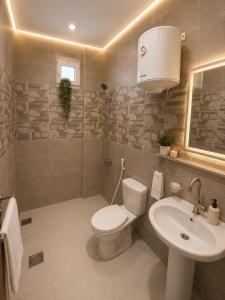 a bathroom with a toilet and a sink at Royal Moses Pyramids View Hotel in Cairo