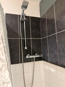 a shower in a bathroom with black tiles at Eastbourne in Pevensey