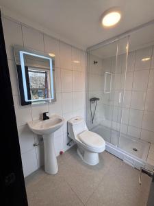 a bathroom with a toilet and a sink and a shower at Raiza Hotel in Concepción