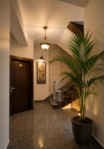 a plant in a large pot in a hallway at hotel urban ade in Tājganj