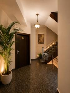 a hallway with a black door and a potted plant at hotel urban ade in Tājganj
