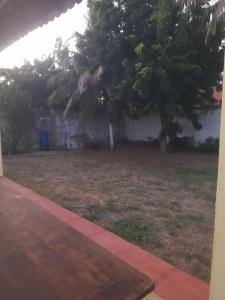 a view of a yard with a tree at Casa Marina Morro Branco in Beberibe +6 photos