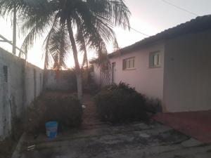 a house with a palm tree in front of it at Casa Marina Morro Branco in Beberibe