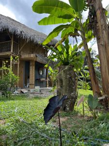 a house with a tree in front of it at Kapiro Ecolodge Satipo in Satipo