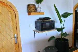 a small television sitting on a shelf next to a plant at Espectacular dúplex a pie de mar in Cabo Negro