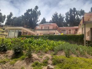 a view of a house and a garden with plants at Musqoy Wasi de Gonzalo in Ocosuyo