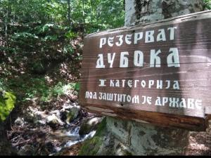 a wooden sign on the side of a creek at Apartman Kopaonik Brzeće in Brzeće