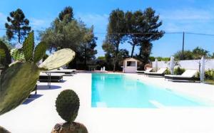 a swimming pool with chairs and a cactus at Hotel Residence Noto Marina Relais in Calabernardo +4 photos