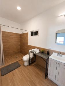 a bathroom with a toilet and a sink at Esterito Hostel in La Paz +46 photos