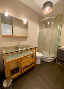 a bathroom with a sink and a shower and a toilet at Independent studio - Cicé Blossac Golf in Bruz +2 photos