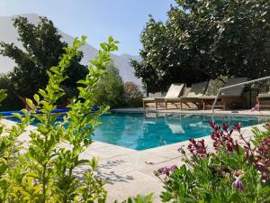 a swimming pool in a garden with mountains in the background at Casa de Campo Urpichay in Ricardo Palma