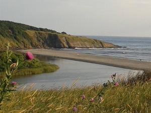 a beach with a body of water and a pink flower at Apart Hotel Apolonia Palace in Sinemorets