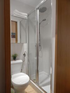 マドリードにあるEstudio VIPのバスルーム(トイレ、ガラス張りのシャワー付)