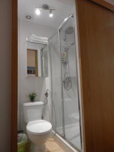 マドリードにあるEstudio VIPのバスルーム(トイレ、ガラス張りのシャワー付)