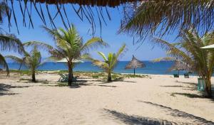a beach with palm trees and the ocean at Hoi An Ocean Waves Homestay in Hà My Tây (2)