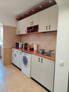 a kitchen with a washing machine and a sink at Adrian Home City in Ploieşti