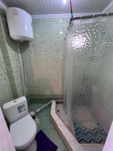 a bathroom with a shower and a toilet at Satina Jenish in Syn-Tash