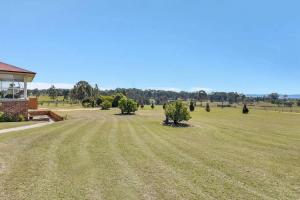 an empty field with trees and a building at Noble Willow Studio Lovedale. A Cosy Unique Wine Country Refuge in Lovedale +4 photos