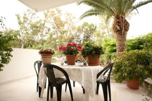 a table with chairs and potted plants on a patio at Veggie Garden Athens B&B in Athens