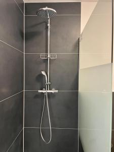 a shower with a shower head in a bathroom at Demhouse in Gössenheim