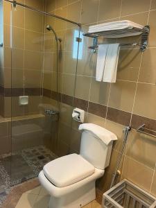 a bathroom with a toilet and a shower at Kudat Ria Hotel Plt in Kudat +13 photos