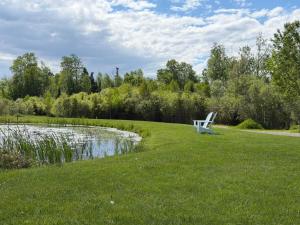a white bench sitting in the grass next to a pond at The Alpine Suite | Walk to Downtown & Rangeley Lake Beach in Rangeley