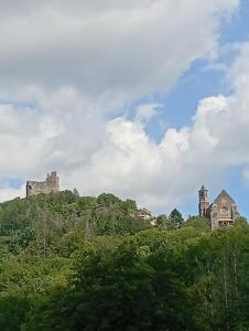 a castle on top of a hill with trees at Le Coquelicot in Najac