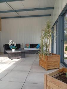 a patio with a couch and plants on it at Le Coquelicot in Najac