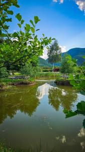 a pond with a reflection of the sky in the water at Balta Roșie in Râu de Mori