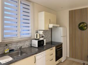 a kitchen with a sink and a white refrigerator at L'échappée belle in Thonon-les-Bains