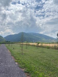 a road in a field with a mountain in the background at Balta Roșie in Râu de Mori