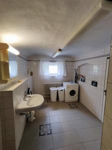 a small bathroom with a sink and a toilet at Chalets in nature Nedderhagen in Damshagen