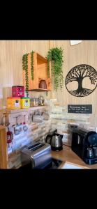 a kitchen with a tree sign on the wall at le petit gîte de mag in Plouha +10 photos
