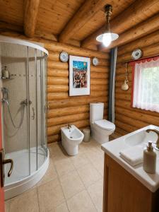a bathroom with a shower and a toilet and a sink at Traditional wooden cottage in Cîmpu Cetăţii +12 photos