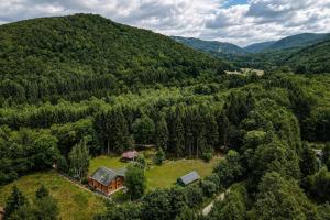 an aerial view of a house in the middle of a forest at Traditional wooden cottage in Cîmpu Cetăţii