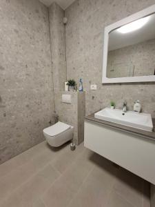 a bathroom with a sink and a toilet and a mirror at Tinel Apartment Sukosan in Sukošan +48 photos
