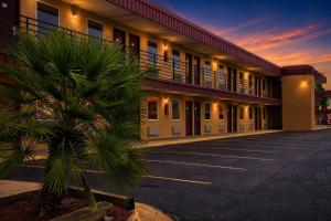 a palm tree in a parking lot in front of a hotel at Masters Inn Augusta at Washington Road in Augusta