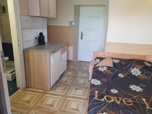 a small room with a kitchen and a bed in it at Double Lux Aparrment A1 in Pancevo in Pančevo