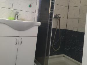 a bathroom with a shower and a sink and a shower at Double Lux Aparrment A1 in Pancevo in Pančevo +4 photos