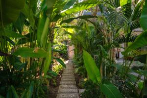a pathway through a garden with many plants at Amed Sudi House in Amed