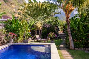 a swimming pool in a garden with a palm tree at Amed Sudi House in Amed