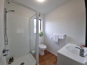a bathroom with a shower and a sink and a toilet at #6 Glenorchy Alpine Suite in Glenorchy