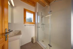 a bathroom with a shower and a sink at Chalet La Tirelire in Nendaz +21 photos