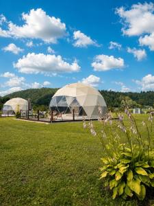 two domes in a field with a green field at Glamping nad Sanem in Krzemienna