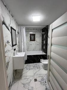 a bathroom with a sink and a toilet at Căsuța Găvruj in Săcel