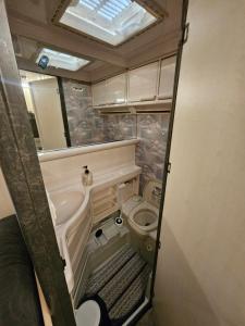 a small bathroom with a toilet and a sink at Full Service Caravan 1 in Albertslund