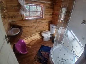 a bathroom with a toilet and a sink and a shower at Diamond Vault Rustic Mountain Cabins in Hogsback +109 photos