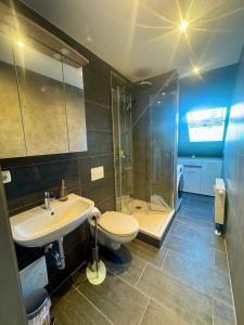 a bathroom with a toilet and a sink and a shower at 3 Zimmer Ferienwohnung Greizer Straße in Reichenbach im Vogtland